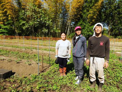 まちの花ダリアの栽培に励む地域おこし協力隊 （東白川郡塙町）