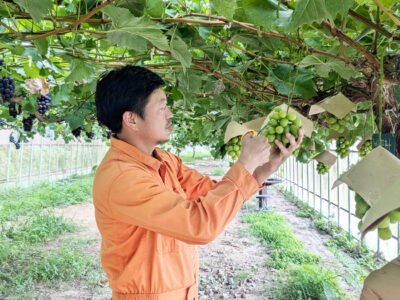 農業の伝道師・小澤嘉則さん 「ふるさと工房おざわふぁーむ」（古殿町）